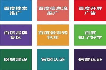 SEM推广优化策略：实战案例分析